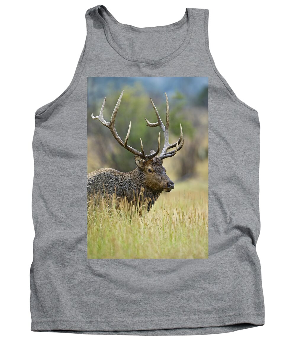 Bull Tank Top featuring the photograph Rocky Mountain Bull Elk #2 by Gary Langley