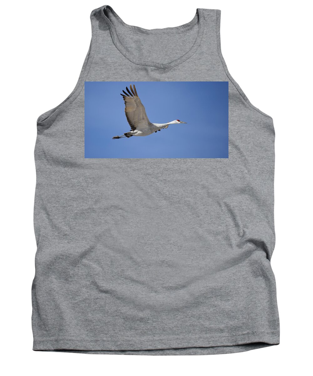 Bosque Tank Top featuring the photograph Sandhill Crane in flight #1 by Gary Langley