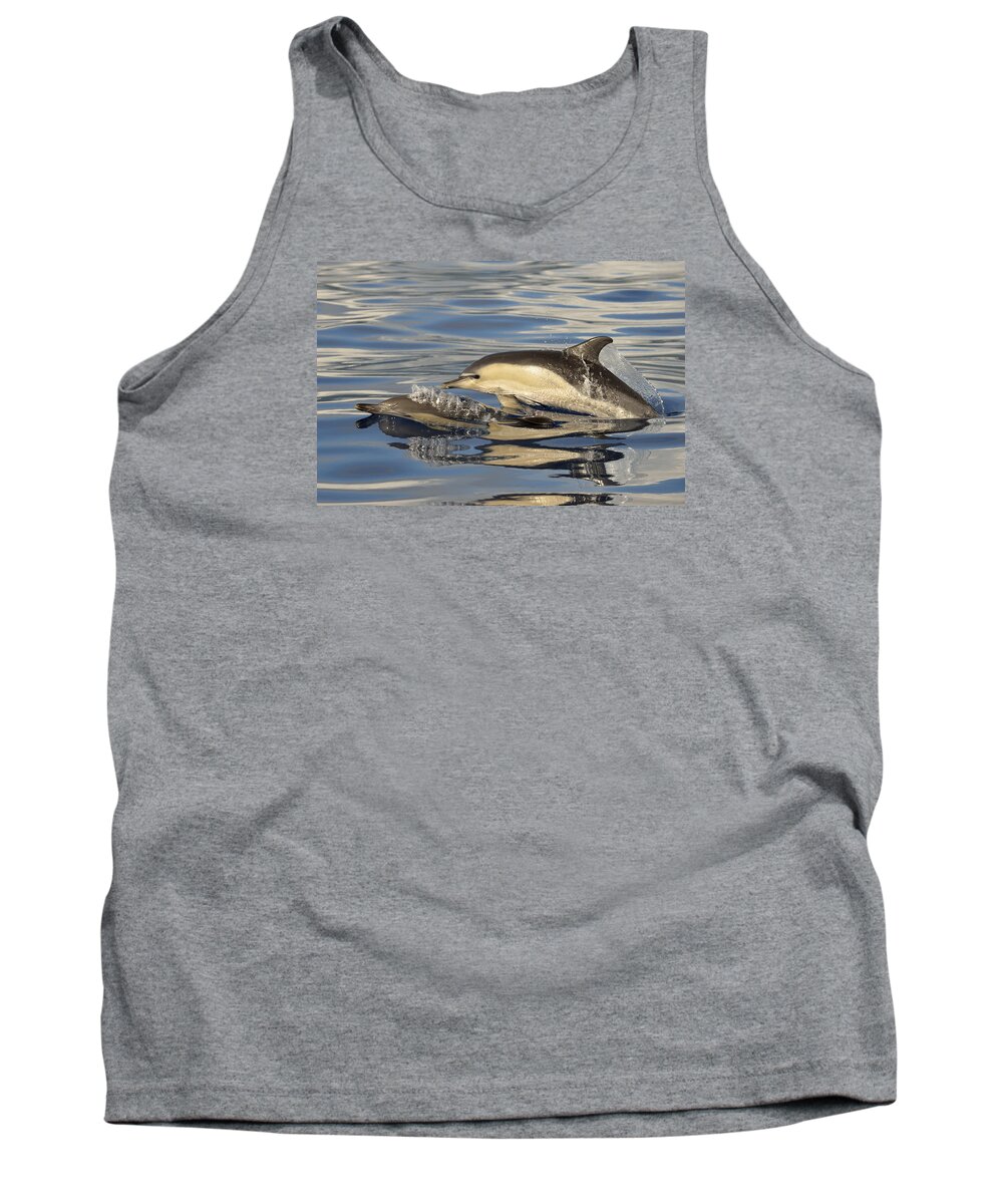 Flpa Tank Top featuring the photograph Short-beaked Common Dolphins Azores #1 by Malcolm Schuyl