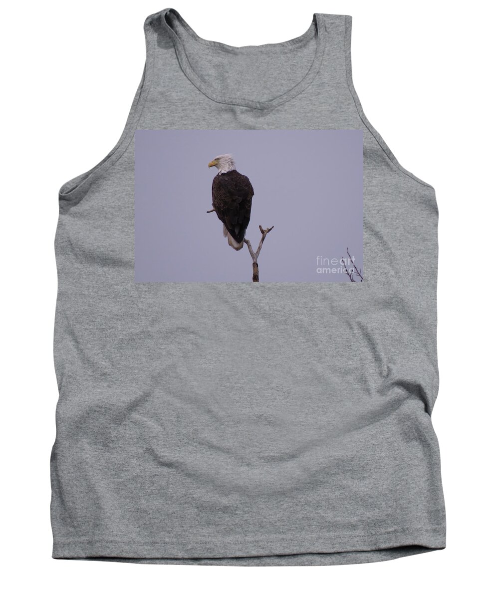 Nature Tank Top featuring the photograph Solo Bald Eagle by Mary Mikawoz