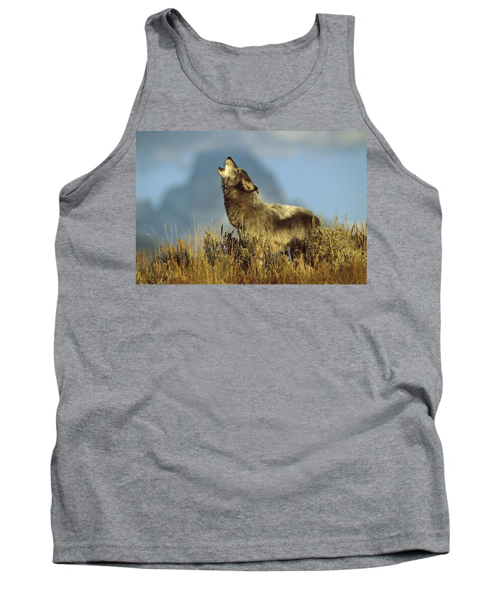 Feb0514 Tank Top featuring the photograph Timber Wolf Howling Idaho #1 by Tom Vezo