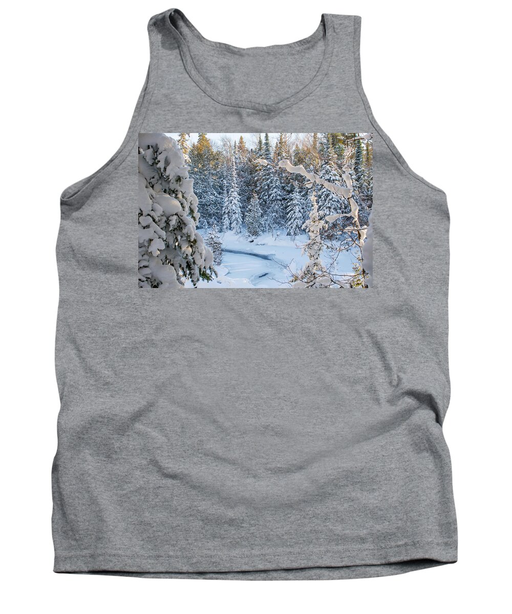 Winter Tank Top featuring the photograph Winter At Grand Marais Creek #2 by Gary McCormick
