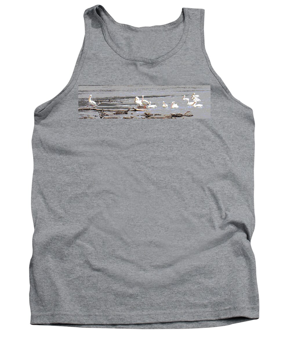 Pelicans Tank Top featuring the photograph 14 Pelicans by Steve Karol