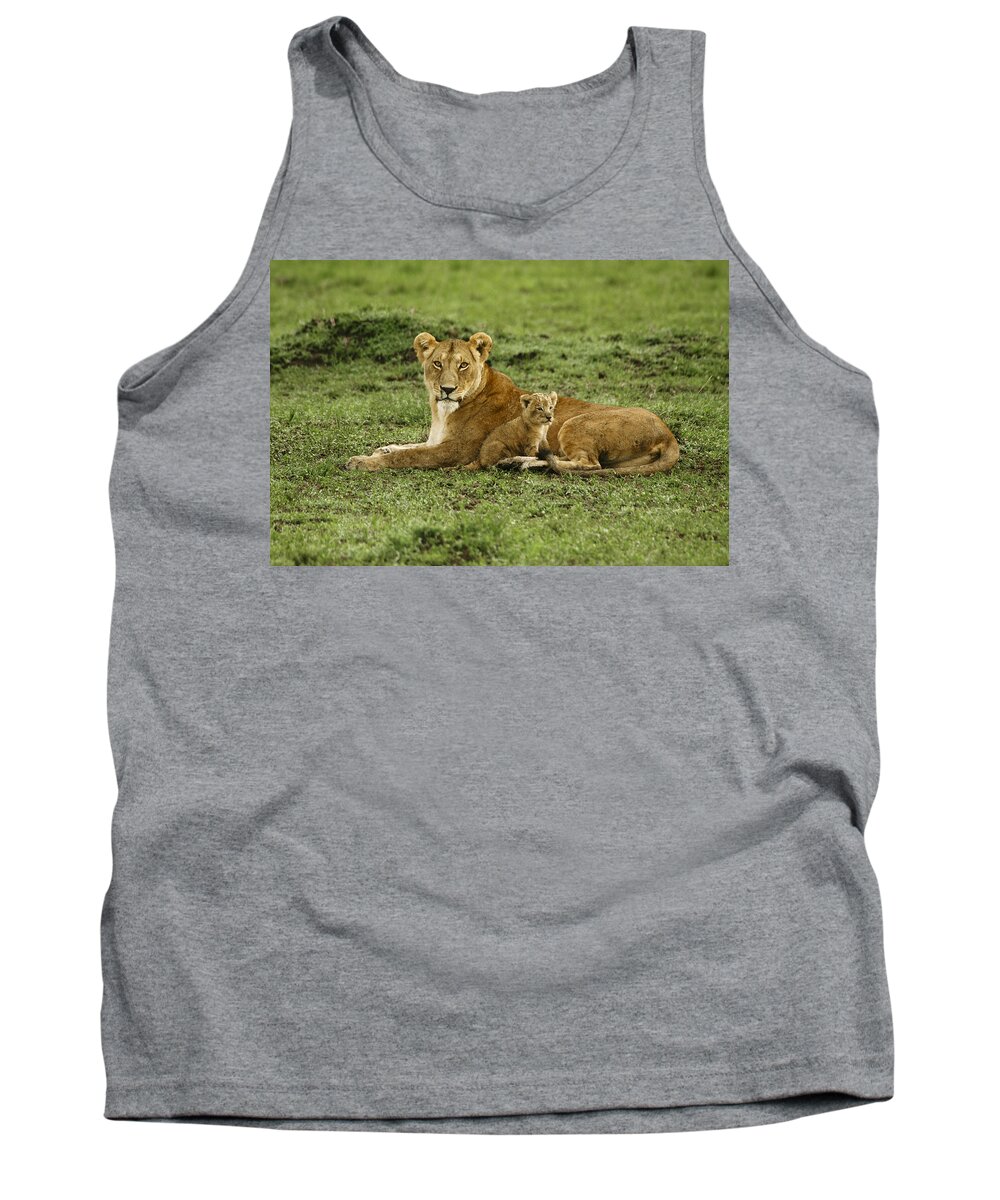 Lion Tank Top featuring the photograph Mama's Little Baby #2 by Michele Burgess