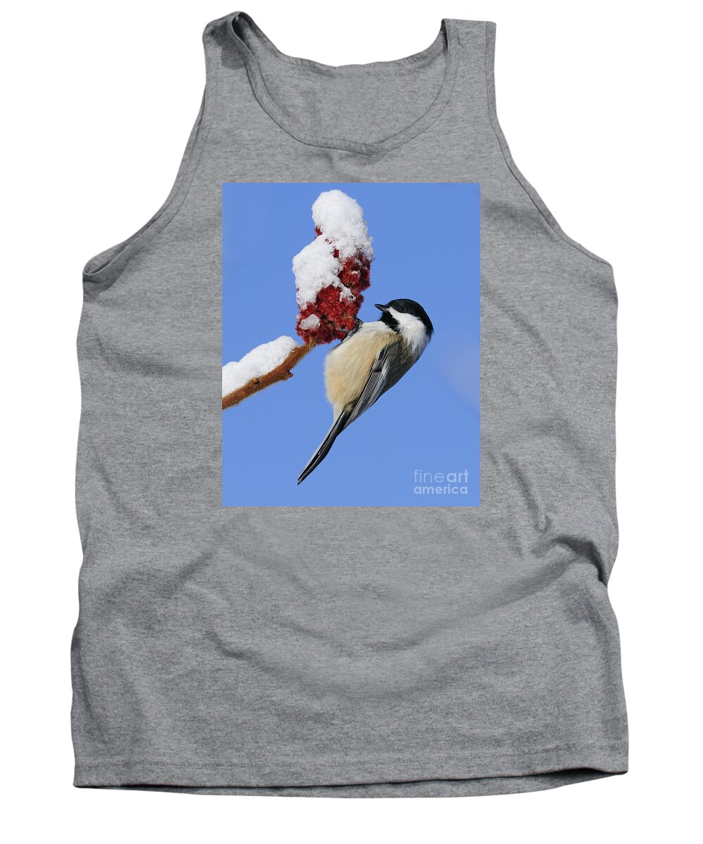Black-capped Chickadee Tank Top featuring the photograph Chickadee Love... by Nina Stavlund