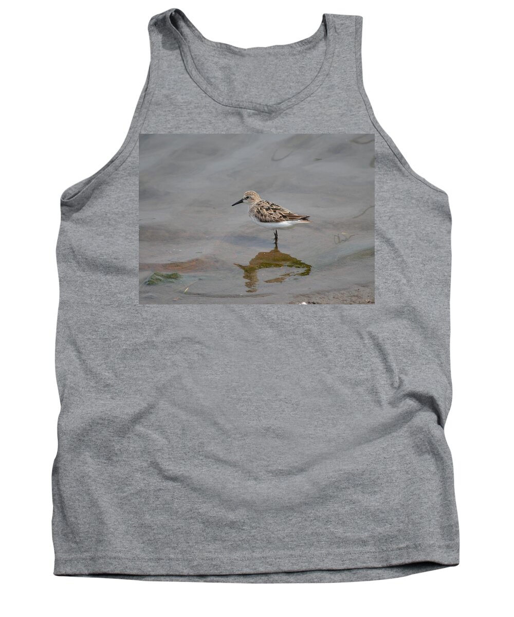 Birds Tank Top featuring the photograph Semipalmated Sandpiper #6 by James Petersen