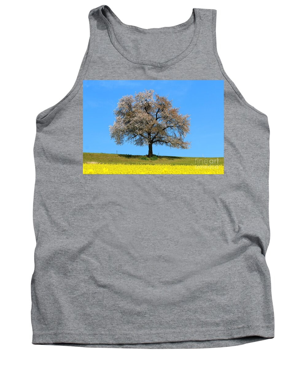  Agriculture Tank Top featuring the photograph A blooming lone Tree in Spring with canolas in front 2 by Amanda Mohler