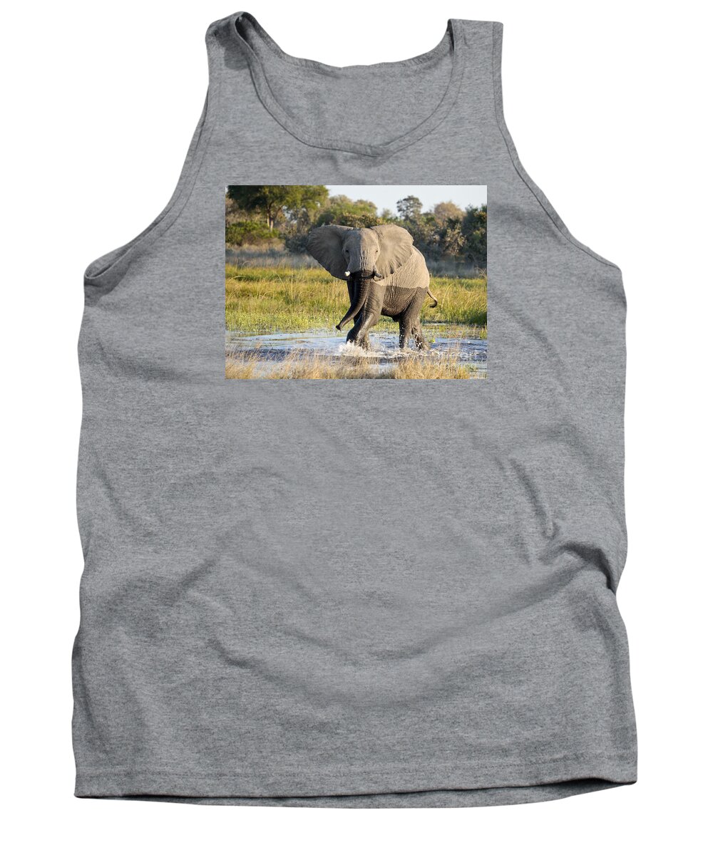 African Elephant Tank Top featuring the photograph African Elephant mock-charging by Liz Leyden