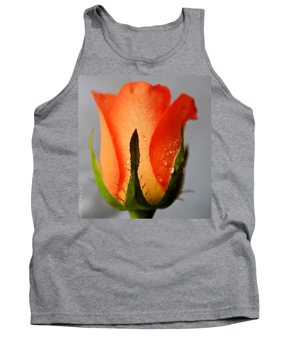 Rose Tank Top featuring the photograph Allure by Felicia Tica