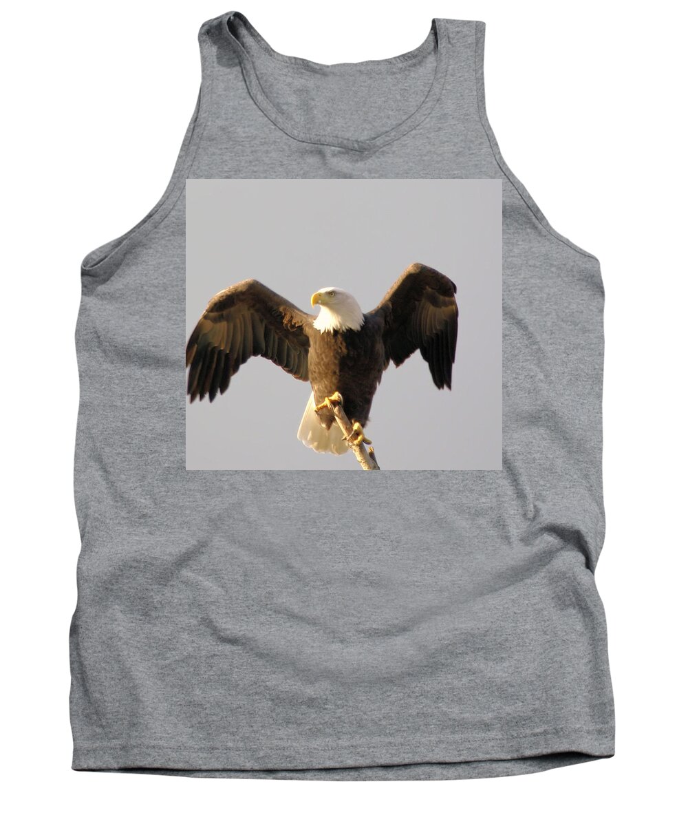 Birds Tank Top featuring the photograph An Eagle Posing by Jeff Swan