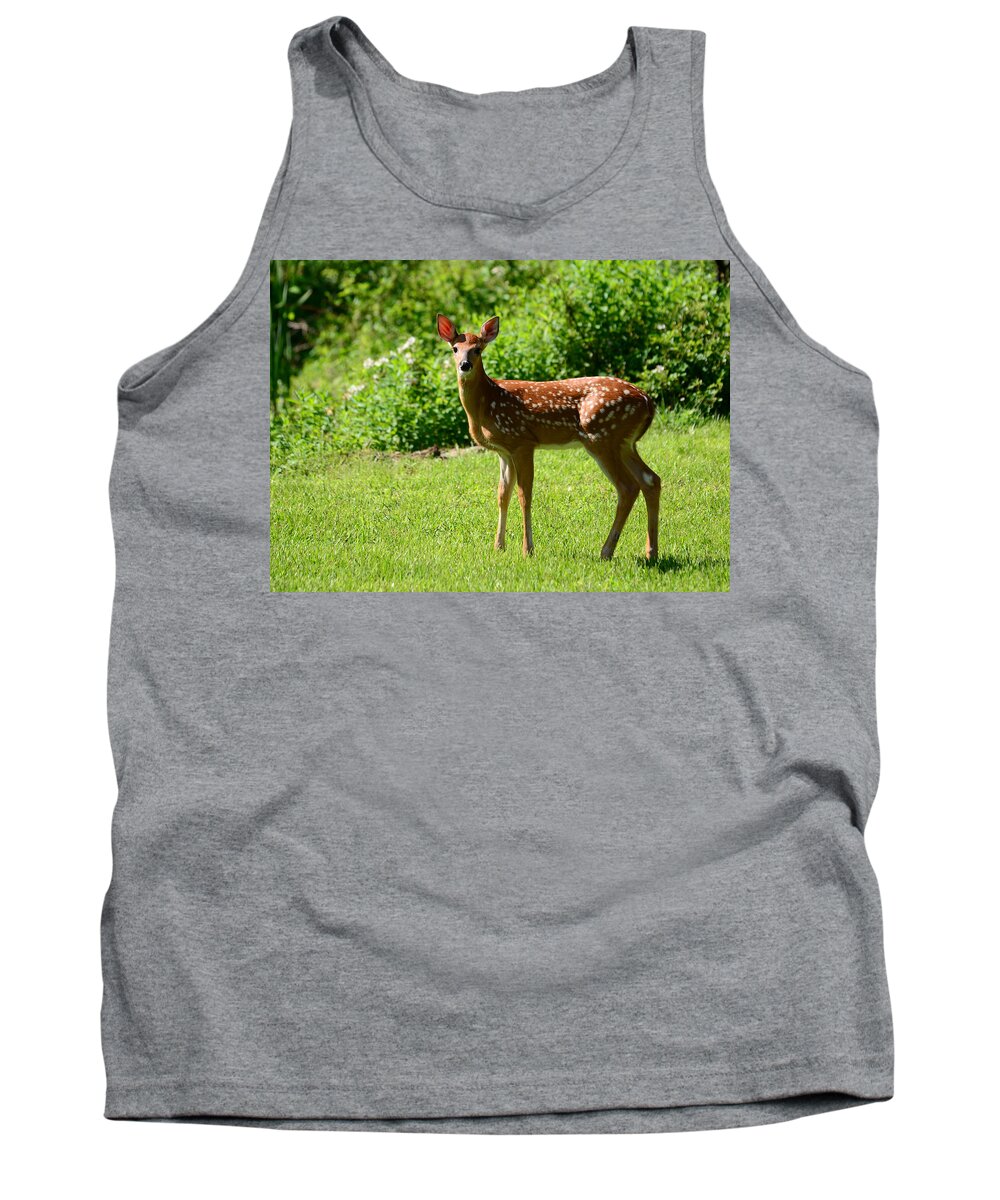 Deer Tank Top featuring the photograph Another Reason to Love Spring by Lori Tambakis