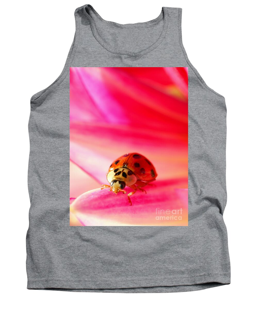 Red Tank Top featuring the photograph Asian Lady Beetle 2 by Amanda Mohler
