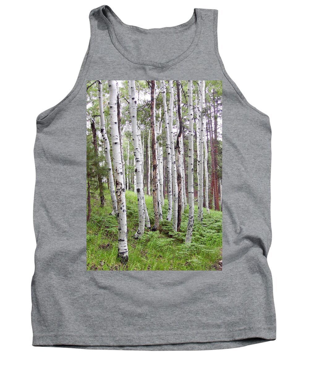 Aspens Tank Top featuring the photograph Aspen Forest by Laurel Powell