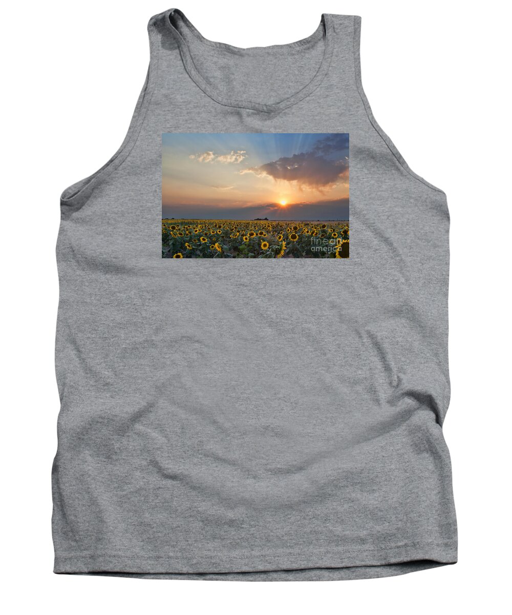 Flowers Tank Top featuring the photograph August Dreams by Jim Garrison