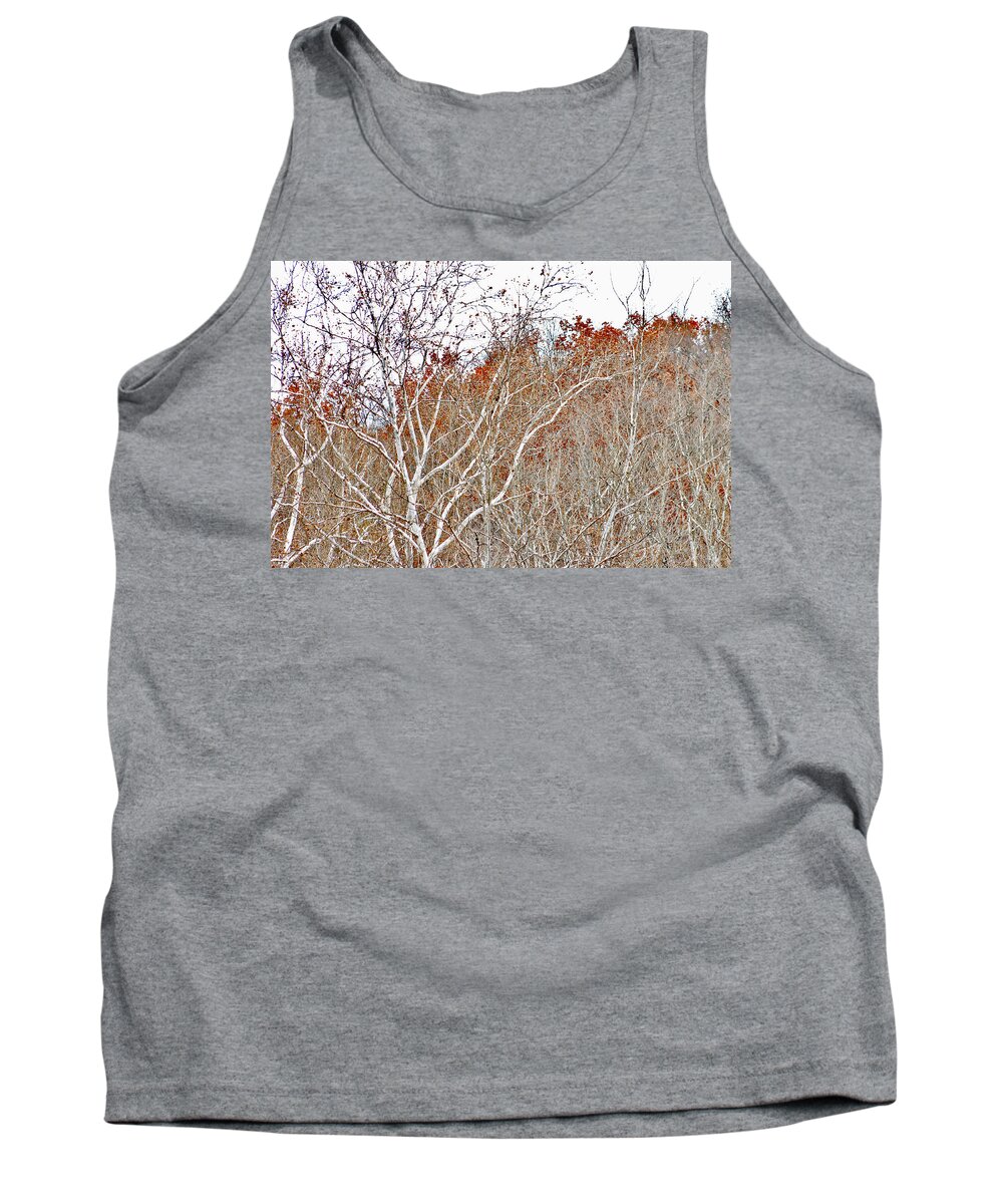 Cuyahoga Valley National Park Tank Top featuring the photograph Autumn Sycamores by Bruce Patrick Smith
