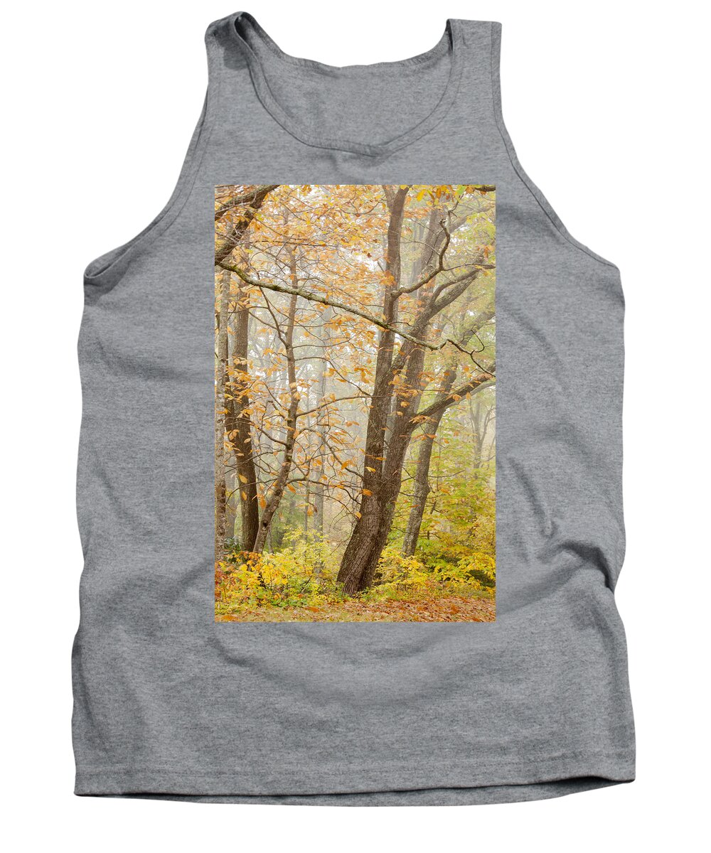 Appalacia Tank Top featuring the photograph Autumn Trees by Jo Ann Tomaselli by Jo Ann Tomaselli