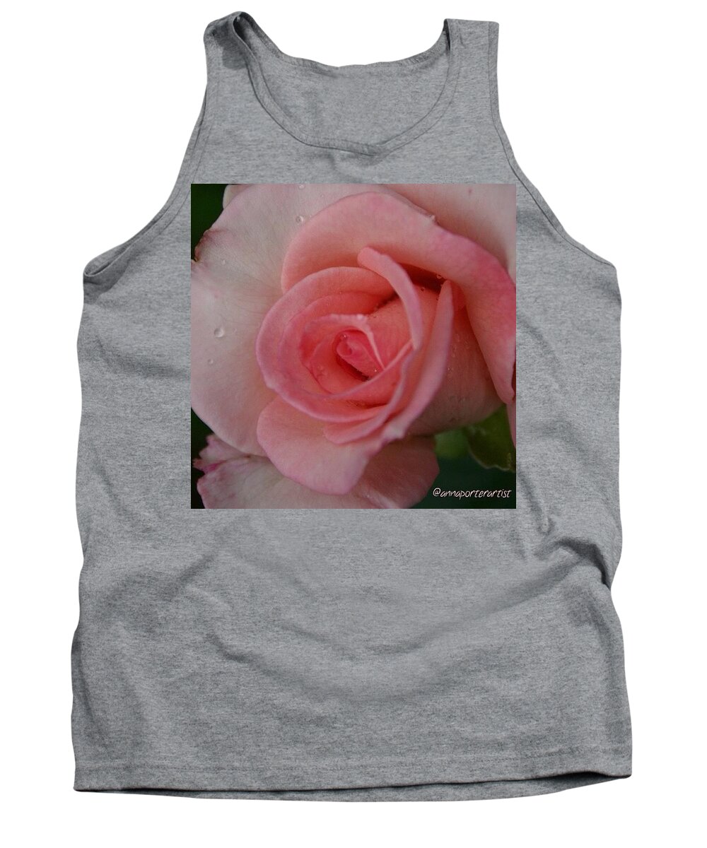 Global_nature_pinks Tank Top featuring the photograph Baby Pink Rosefrom My Garden This by Anna Porter