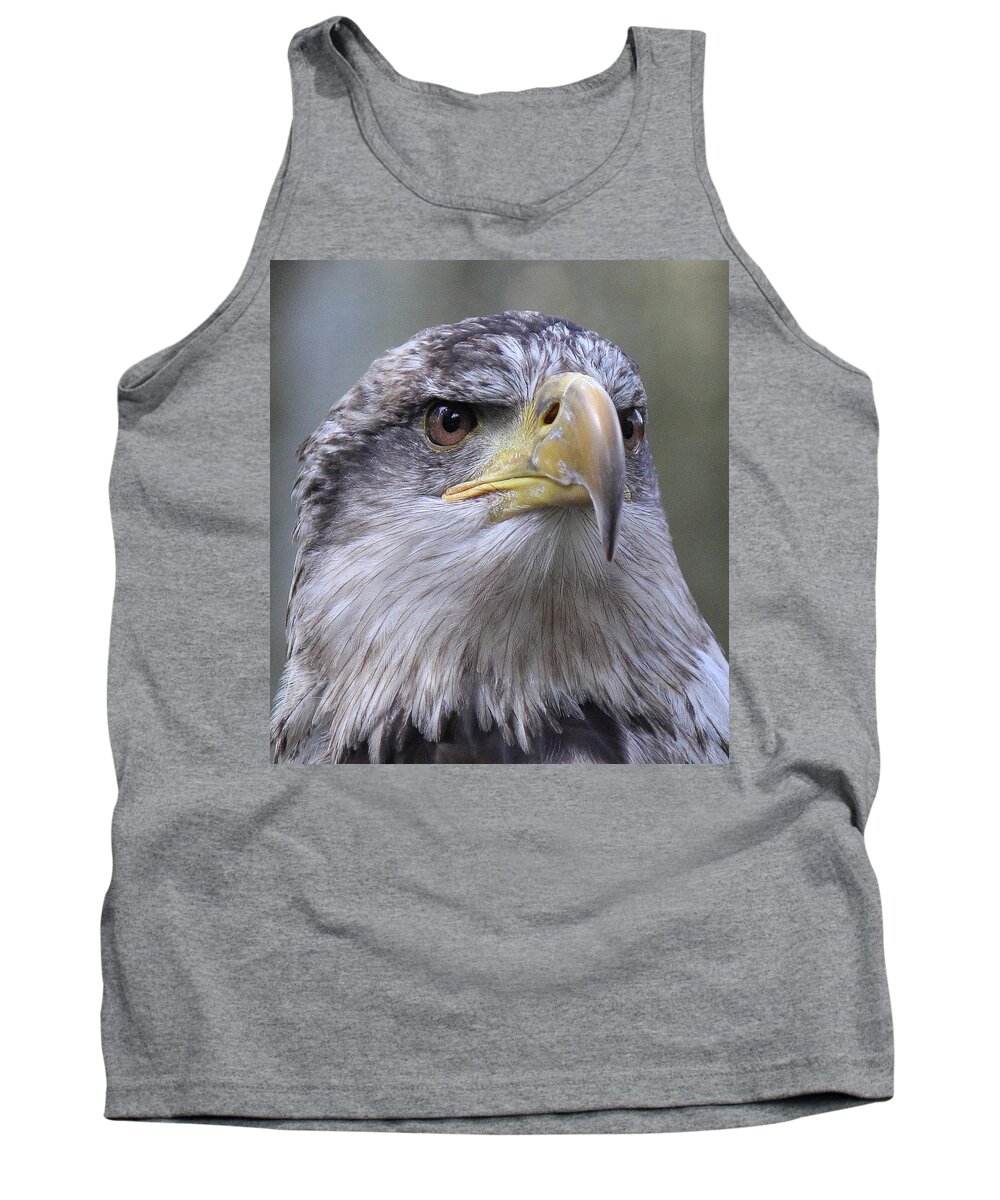 Bald Eagle Tank Top featuring the photograph Bald Eagle - Juvenile by Randy Hall