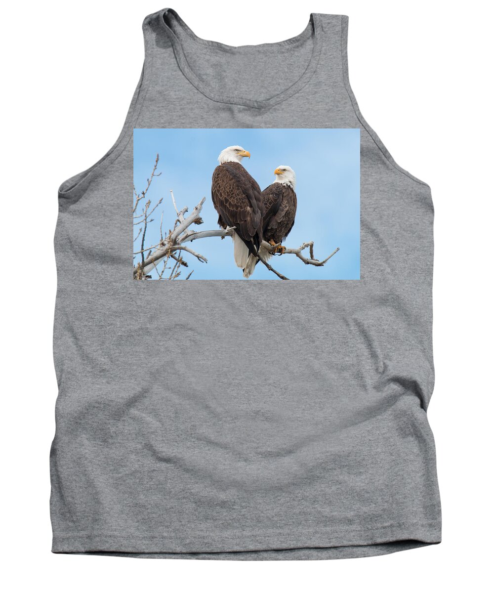 Bald Eagle Tank Top featuring the photograph Bald Eagle Mates Form a Heart by Tony Hake