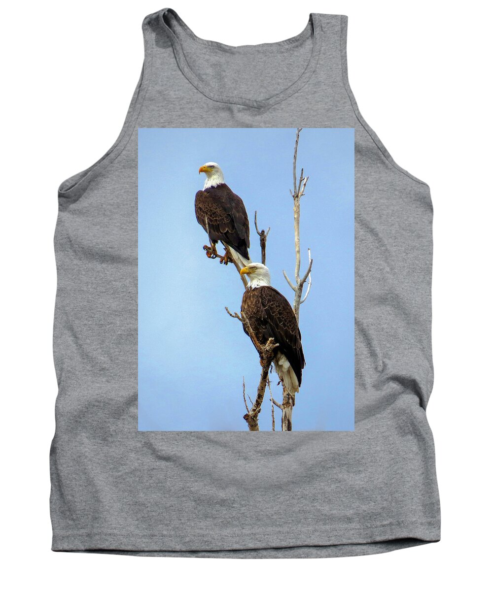 Bald Eagles Tank Top featuring the photograph Bald Eagle Pair Perched by Dawn Key