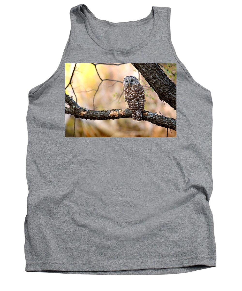 Owl Tank Top featuring the photograph Barred Owl by Rob Blair