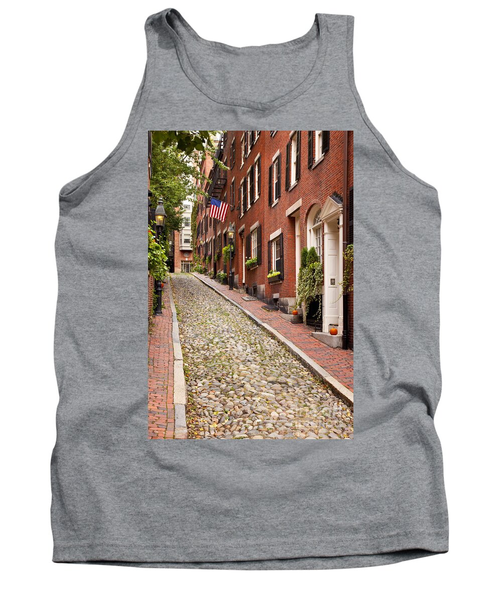 Acorn Tank Top featuring the photograph Beacon Hill by Brian Jannsen