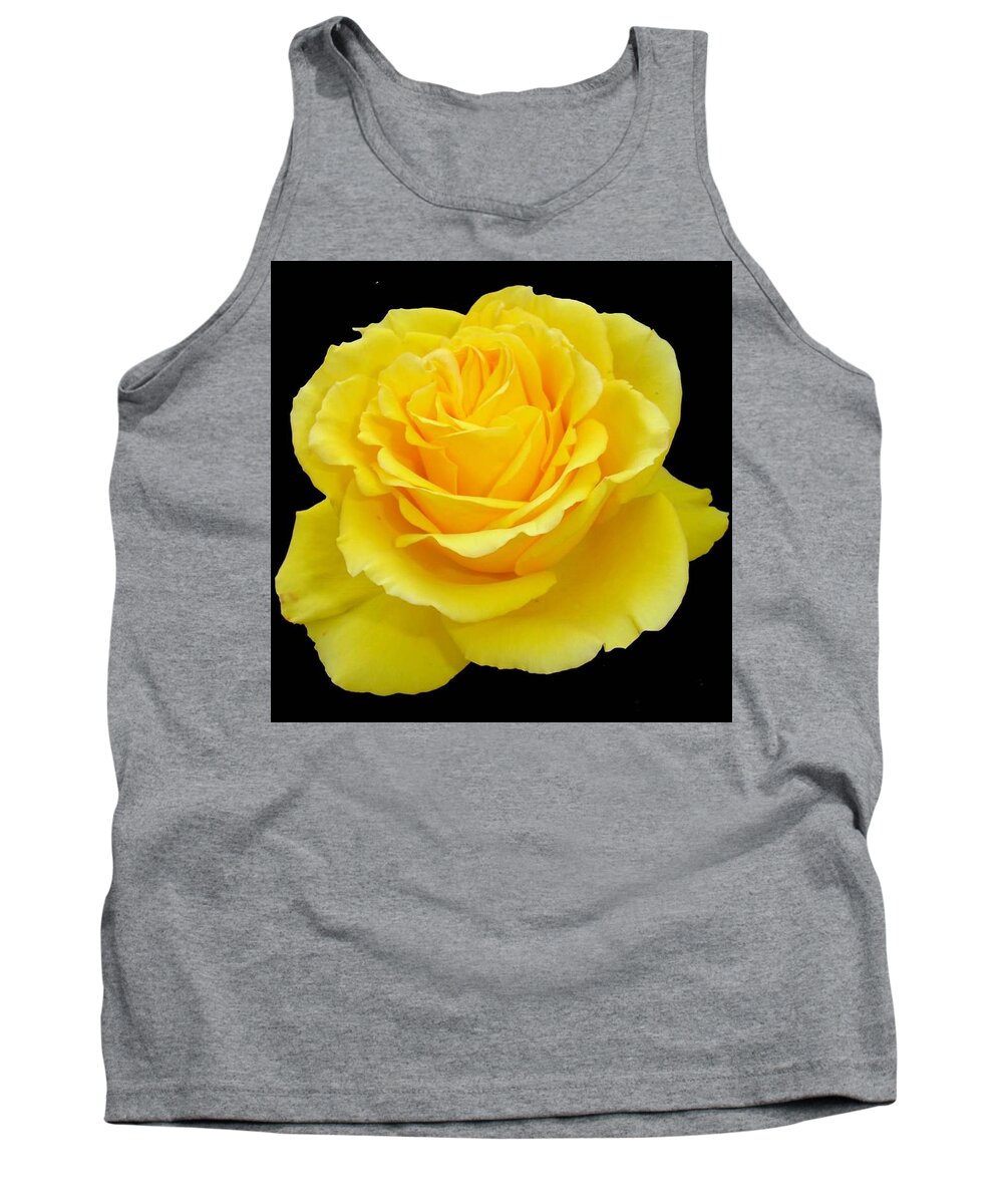 Rose Tank Top featuring the photograph Beautiful Yellow Rose Flower on Black Background by Taiche Acrylic Art