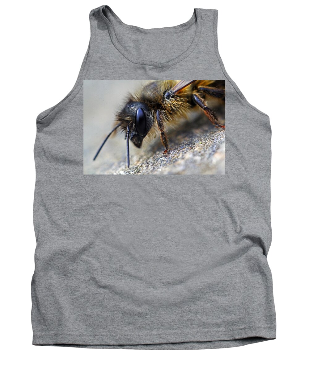 Insects Tank Top featuring the photograph Bee Careful by Jennifer Robin
