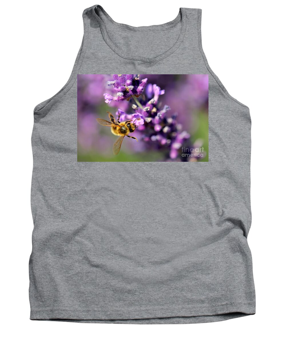 Bee Tank Top featuring the photograph Bee on the Lavender Branch by Amanda Mohler