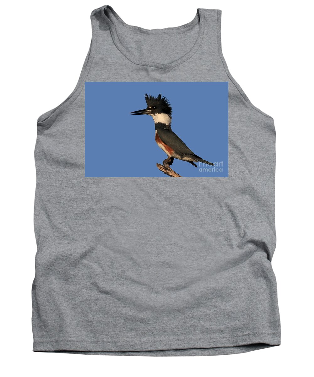 Belted Kingfisher Tank Top featuring the photograph Belted Kingfisher by Meg Rousher