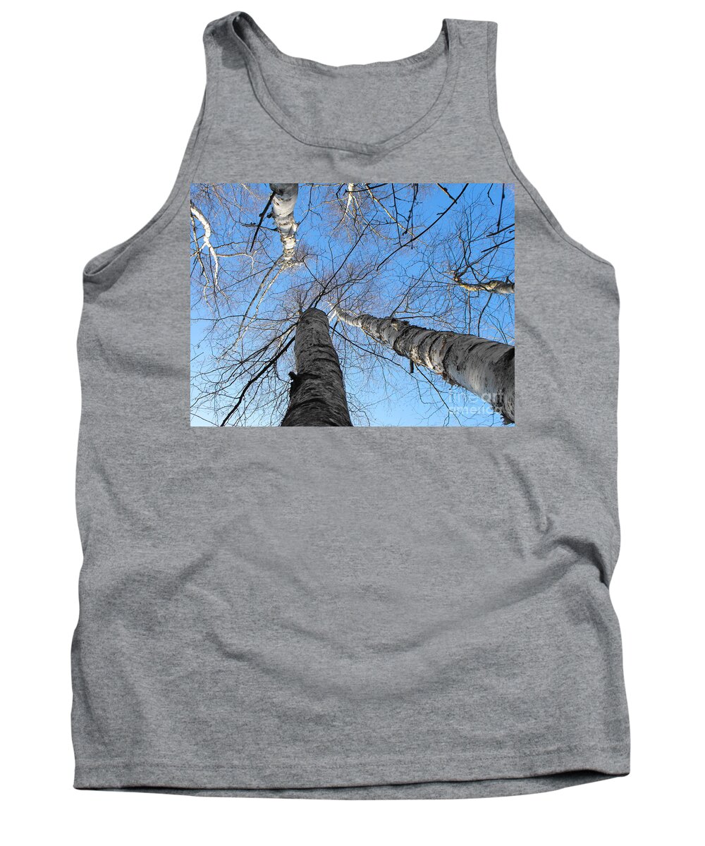 Tree Tank Top featuring the photograph Birch Group in Winter by Erick Schmidt
