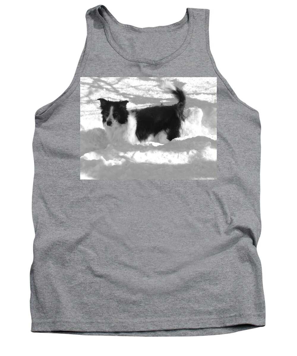 Dog Tank Top featuring the photograph Black and White in the snow by Michael Porchik