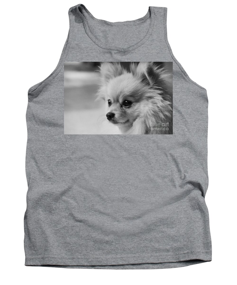 Teddy Bear Tank Top featuring the photograph Black and white Portrait of Pixie the Pomeranian by Jennifer E Doll