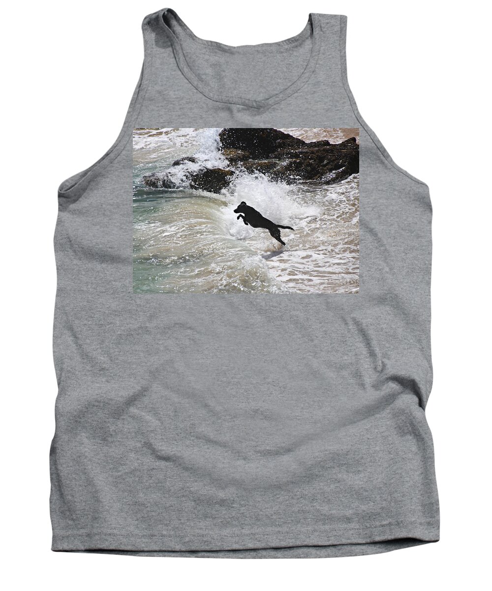 Dog Tank Top featuring the photograph Black Dog by Tom Conway
