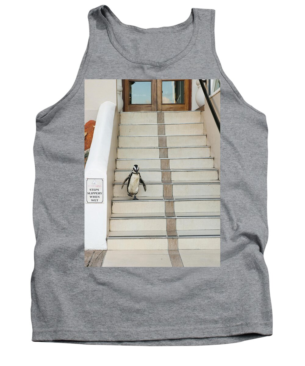 Feb0514 Tank Top featuring the photograph Black-footed Penguin Boulders Beach by Kevin Schafer