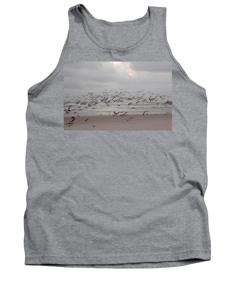 Beach Tank Top featuring the photograph Black Skimmers on the beach at dawn by Julianne Felton