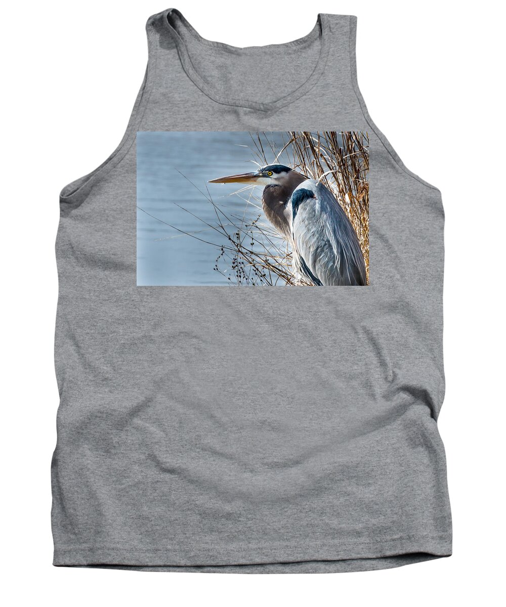 Blue Heron Tank Top featuring the photograph Blue Heron at pond by John Johnson