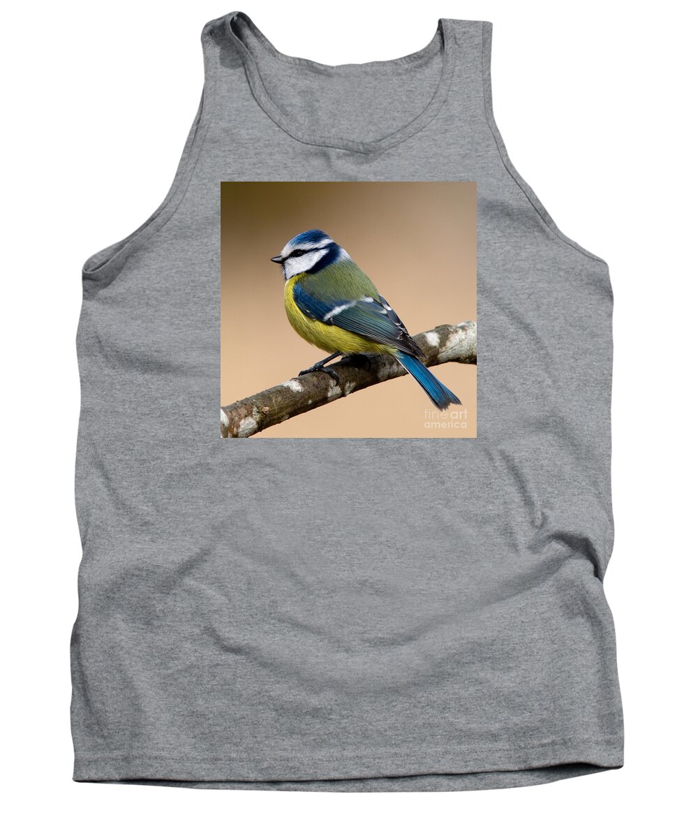 Blue Hood Tank Top featuring the photograph Blue hood by Torbjorn Swenelius