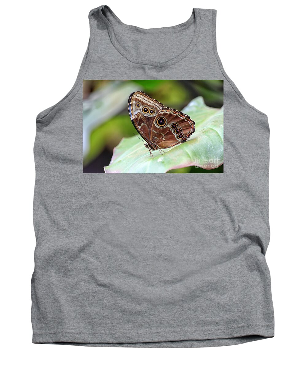 Butterfly Tank Top featuring the photograph Blue Morpho Butterfly by Teresa Zieba