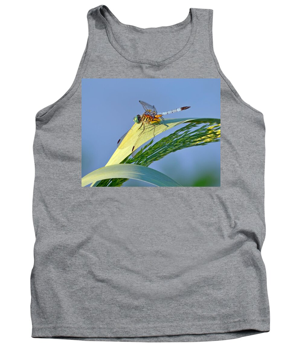 Blue Tank Top featuring the photograph Blue Tail Dragonfly on Navarre Beach by Jeff at JSJ Photography