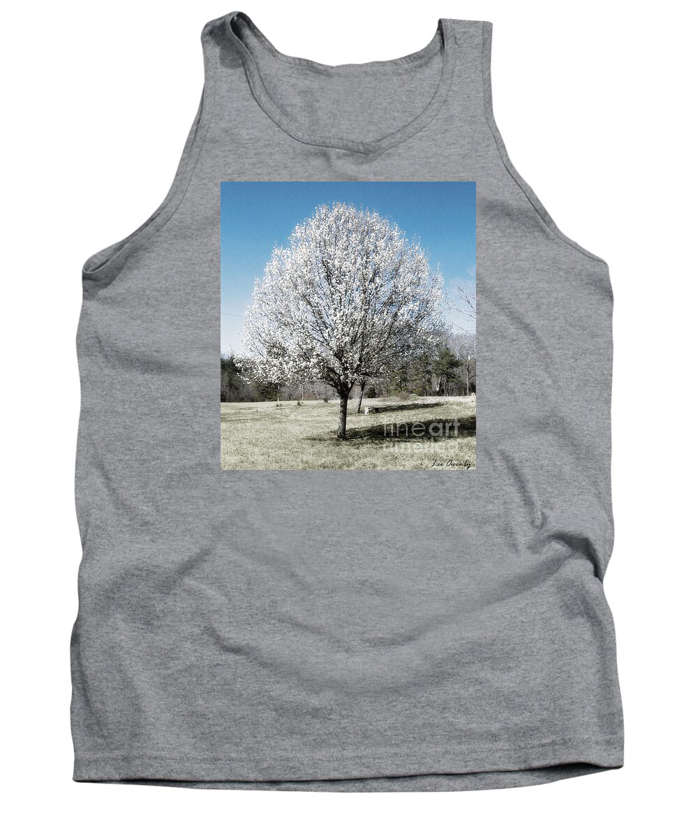 Bradford Pear Tank Top featuring the photograph Bradford Pear by Lee Owenby
