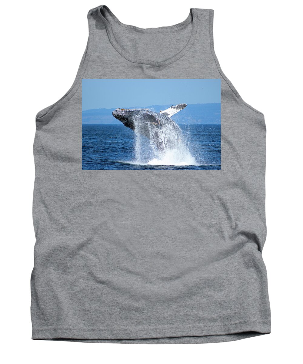 Humpback Tank Top featuring the photograph Breaching Humpback by Deana Glenz