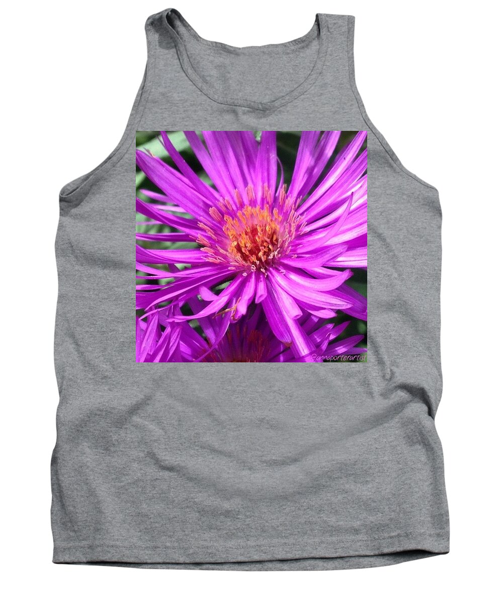 123purples Tank Top featuring the photograph Brilliance, A Stunning #purple #aster by Anna Porter