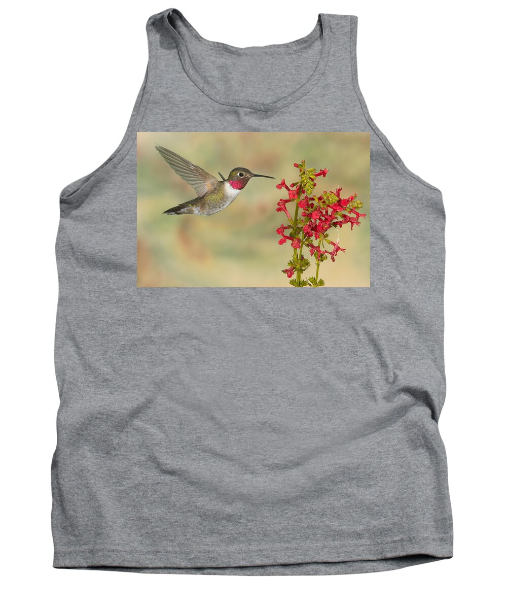 Action Tank Top featuring the photograph Broad-tailed Hummingbird 5 by Jack Milchanowski