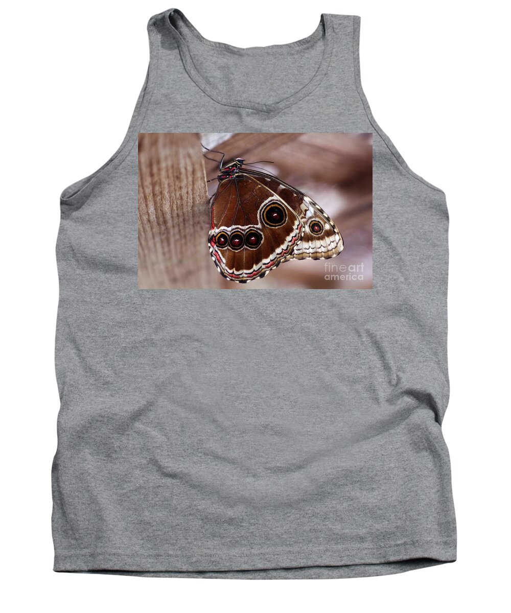 Butterfly Tank Top featuring the photograph Brown Butterfly by Jeremy Hayden