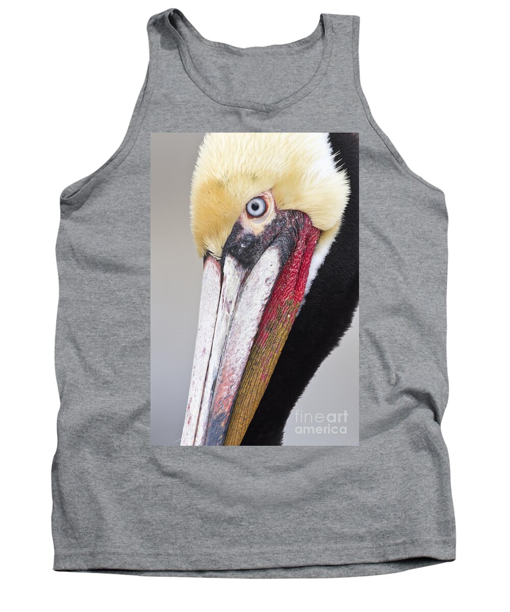 Brown Pelican Tank Top featuring the photograph Brown Pelican headshot by Bryan Keil