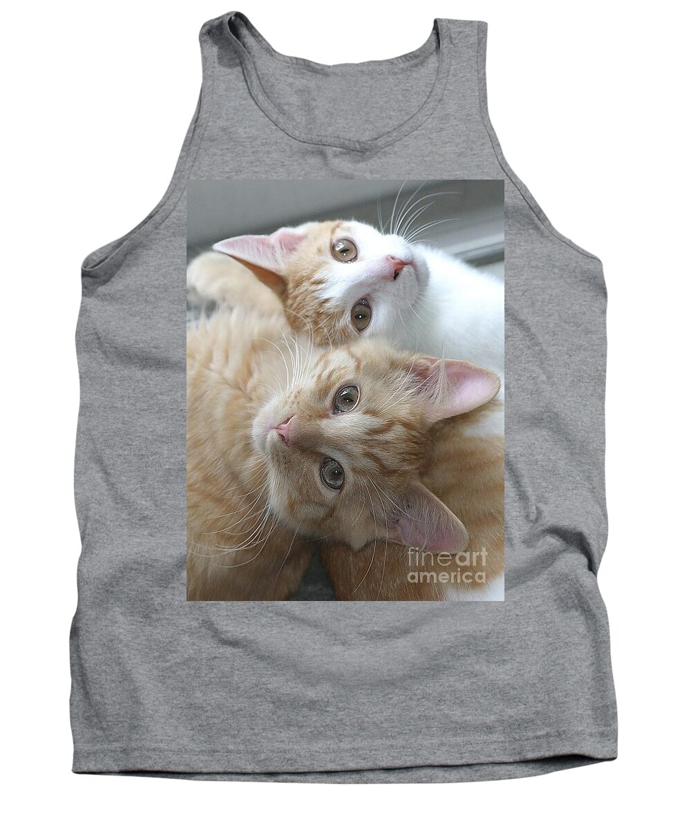 Cats Tank Top featuring the photograph Buddies For life by Living Color Photography Lorraine Lynch