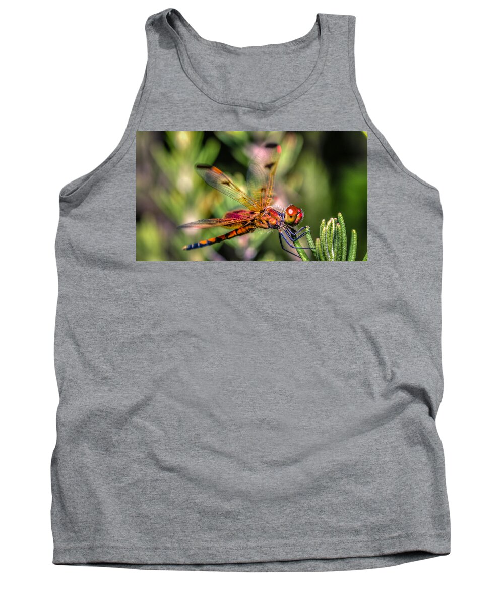 Wildlife Tank Top featuring the photograph Calico Pennant by Traveler's Pics