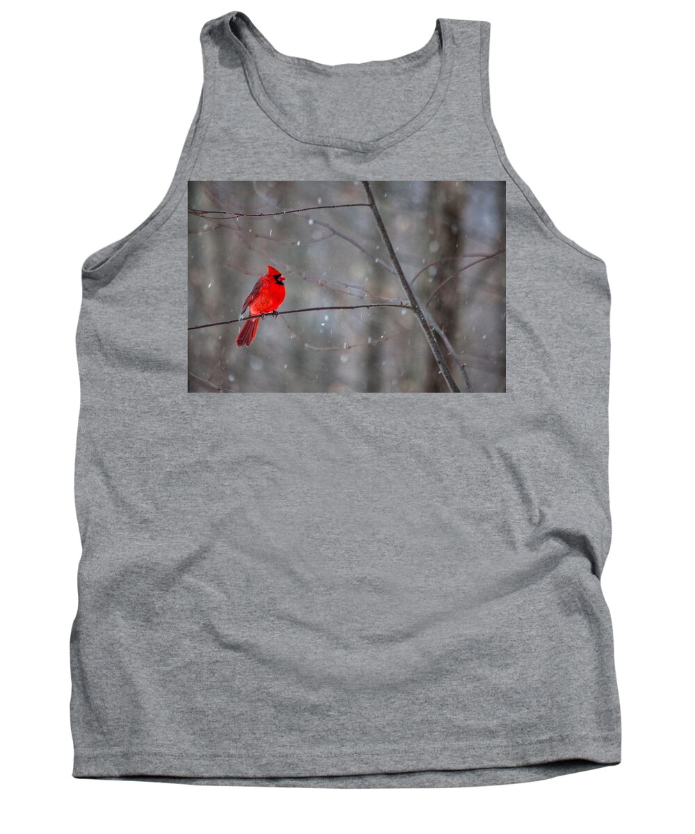 Snowy Cardinal Tank Top featuring the photograph Cardinal In The Snow by Karol Livote