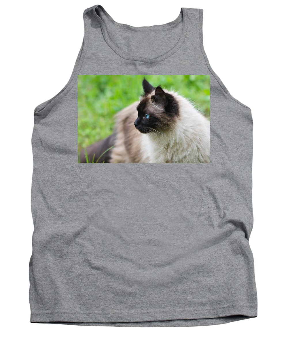 Domestic Cat Tank Top featuring the photograph Cat Outdoors by Melinda Fawver